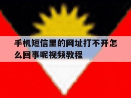 手机短信里的网址打不开怎么回事呢视频教程