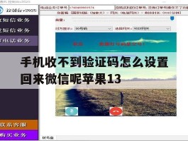 手机收不到验证码怎么设置回来微信呢苹果13