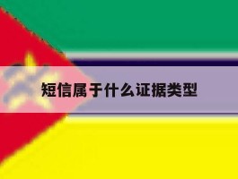 短信属于什么证据类型