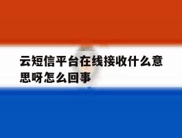 云短信平台在线接收什么意思呀怎么回事