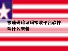 极速码验证码接收平台软件叫什么来着