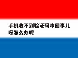 手机收不到验证码咋回事儿呀怎么办呢