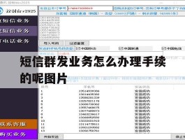 短信群发业务怎么办理手续的呢图片