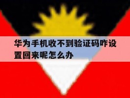 华为手机收不到验证码咋设置回来呢怎么办