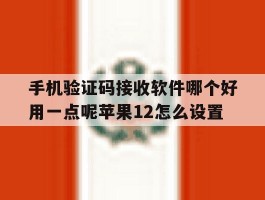 手机验证码接收软件哪个好用一点呢苹果12怎么设置