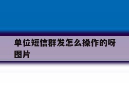 单位短信群发怎么操作的呀图片