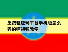 免费验证码平台手机版怎么弄的啊视频教学