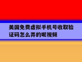 美国免费虚拟手机号收取验证码怎么弄的呢视频