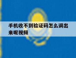 手机收不到验证码怎么调出来呢视频