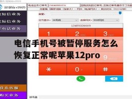 电信手机号被暂停服务怎么恢复正常呢苹果12pro