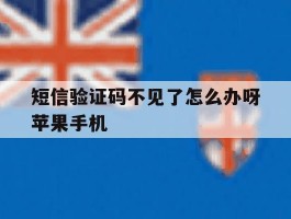 短信验证码不见了怎么办呀苹果手机