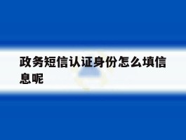 政务短信认证身份怎么填信息呢