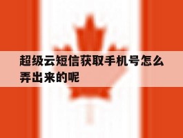 超级云短信获取手机号怎么弄出来的呢