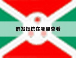 群发短信在哪里查看