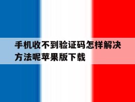 手机收不到验证码怎样解决方法呢苹果版下载