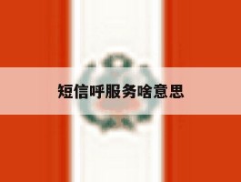 短信呼服务啥意思