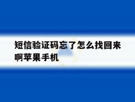 短信验证码忘了怎么找回来啊苹果手机