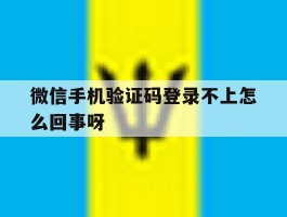 微信手机验证码登录不上怎么回事呀