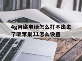 4g网络电话怎么打不出去了呢苹果11怎么设置
