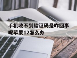 手机收不到验证码是咋回事呢苹果12怎么办的简单介绍