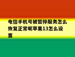 电信手机号被暂停服务怎么恢复正常呢苹果13怎么设置