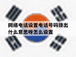 网络电话设置电话号码拨出什么意思呀怎么设置