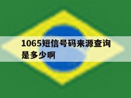 1065短信号码来源查询是多少啊