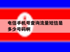 电信手机号查询流量短信是多少号码啊