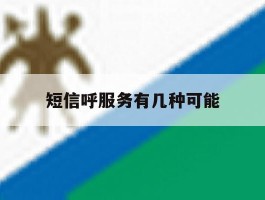 短信呼服务有几种可能