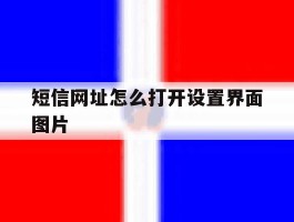 短信网址怎么打开设置界面图片