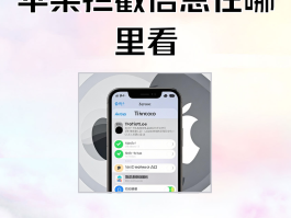 怎样看短信验证码记录呢苹果版