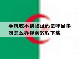 手机收不到验证码是咋回事呀怎么办视频教程下载