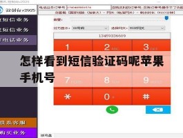 怎样看到短信验证码呢苹果手机号