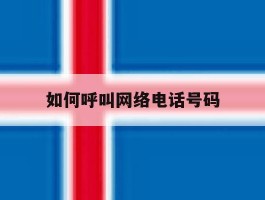 如何呼叫网络电话号码