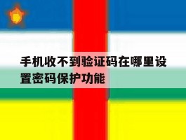 手机收不到验证码在哪里设置密码保护功能