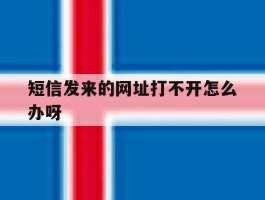 短信发来的网址打不开怎么办呀