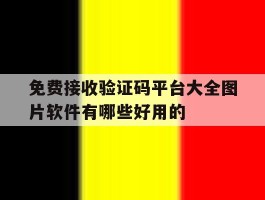 免费接收验证码平台大全图片软件有哪些好用的