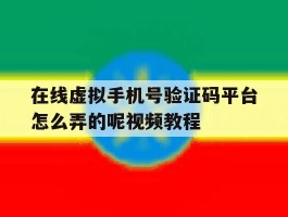 在线虚拟手机号验证码平台怎么弄的呢视频教程