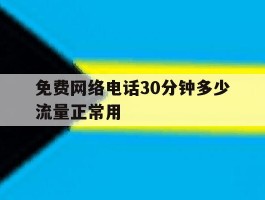 免费网络电话30分钟多少流量正常用