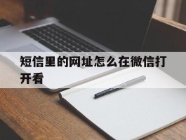 短信里的网址怎么在微信打开看