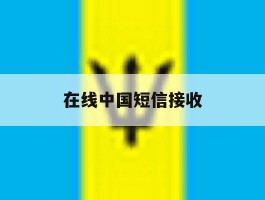 在线中国短信接收