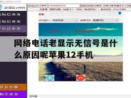 网络电话老显示无信号是什么原因呢苹果12手机