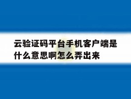 云验证码平台手机客户端是什么意思啊怎么弄出来