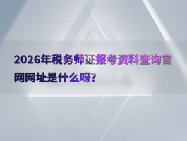 极速接码平台官网入口网址查询