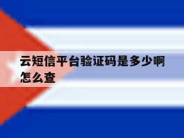 云短信平台验证码是多少啊怎么查