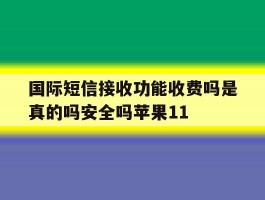 国际短信接收功能收费吗是真的吗安全吗苹果11