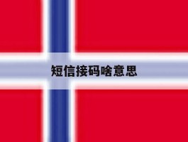 短信接码啥意思