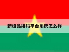 新极品接码平台系统怎么样