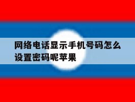网络电话显示手机号码怎么设置密码呢苹果