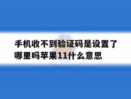 手机收不到验证码是设置了哪里吗苹果11什么意思